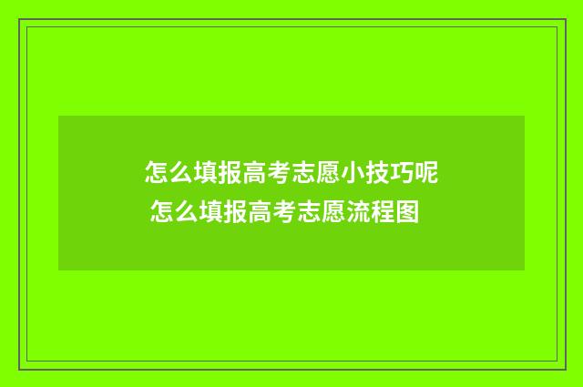 怎么填报高考志愿小技巧呢 怎么填报高考志愿流程图