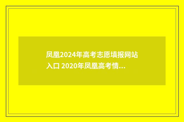 凤凰2024年高考志愿填报网站入口 2020年凤凰高考情况