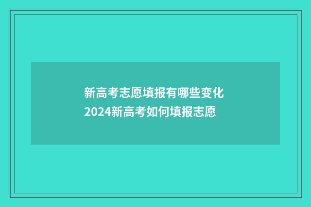 新高考志愿填报有哪些变化 2024新高考如何填报志愿