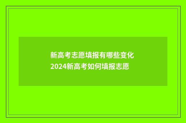 新高考志愿填报有哪些变化 2024新高考如何填报志愿