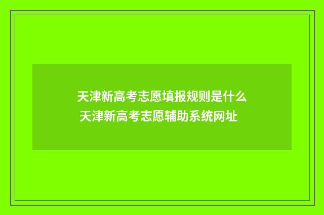 天津新高考志愿填报规则是什么 天津新高考志愿辅助系统网址