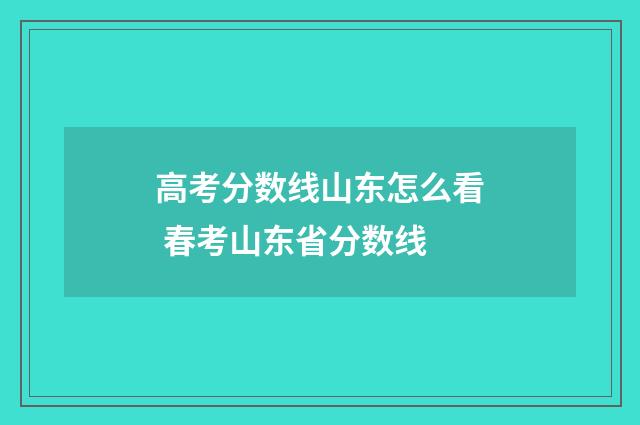 高考分数线山东怎么看 春考山东省分数线