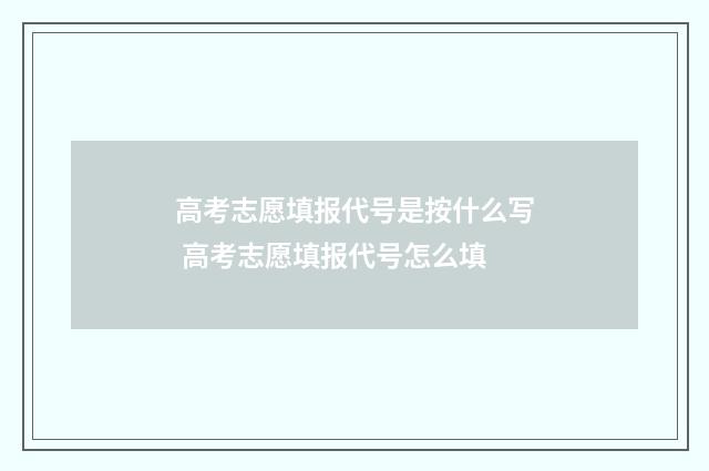 高考志愿填报代号是按什么写 高考志愿填报代号怎么填