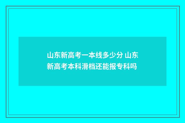 山东新高考一本线多少分 山东新高考本科滑档还能报专科吗
