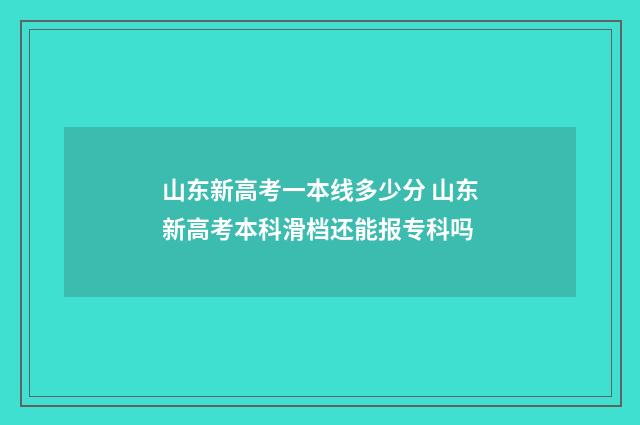 山东新高考一本线多少分 山东新高考本科滑档还能报专科吗