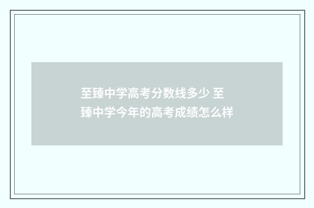 至臻中学高考分数线多少 至臻中学今年的高考成绩怎么样