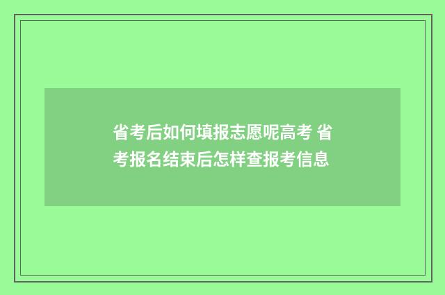 省考后如何填报志愿呢高考 省考报名结束后怎样查报考信息