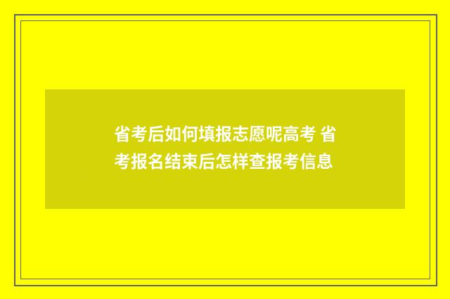 省考后如何填报志愿呢高考 省考报名结束后怎样查报考信息