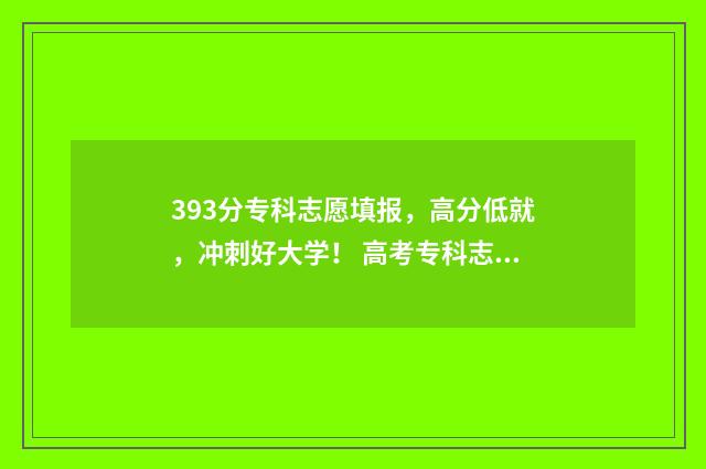 393分专科志愿填报，高分低就，冲刺好大学！ 高考专科志愿录取