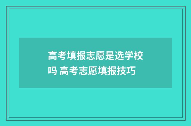 高考填报志愿是选学校吗 高考志愿填报技巧