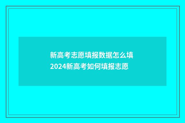 新高考志愿填报数据怎么填 2024新高考如何填报志愿
