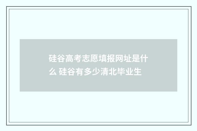 硅谷高考志愿填报网址是什么 硅谷有多少清北毕业生