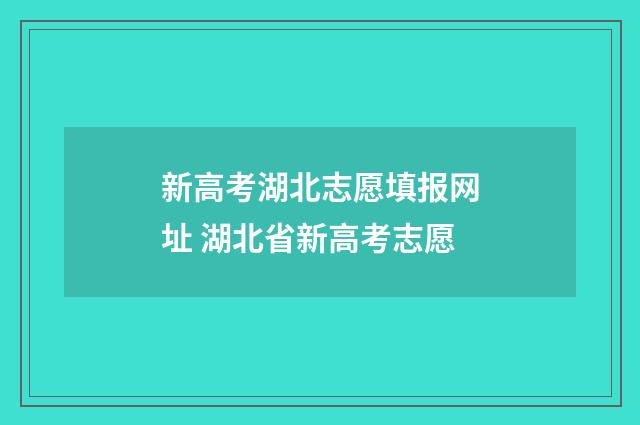 新高考湖北志愿填报网址 湖北省新高考志愿