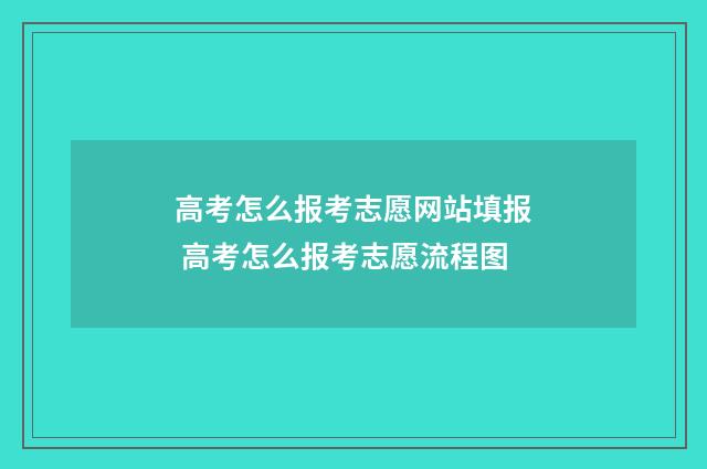 高考怎么报考志愿网站填报 高考怎么报考志愿流程图