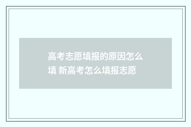 高考志愿填报的原因怎么填 新高考怎么填报志愿