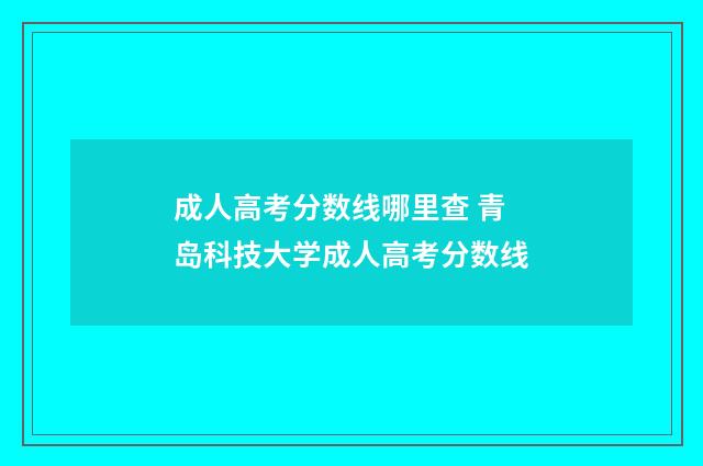 成人高考分数线哪里查 青岛科技大学成人高考分数线