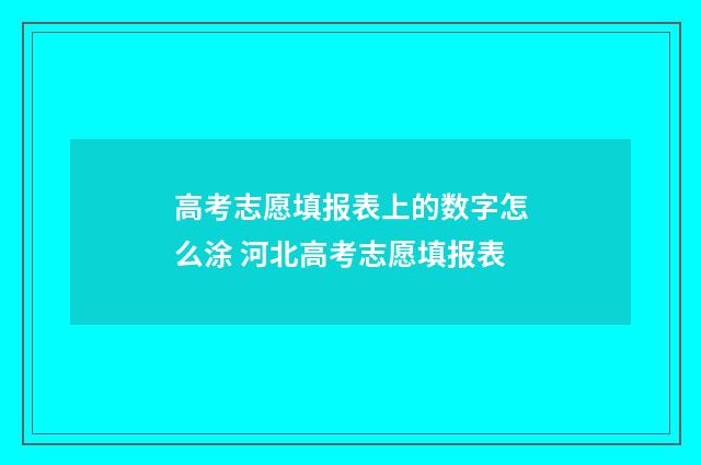 高考志愿填报表上的数字怎么涂 河北高考志愿填报表