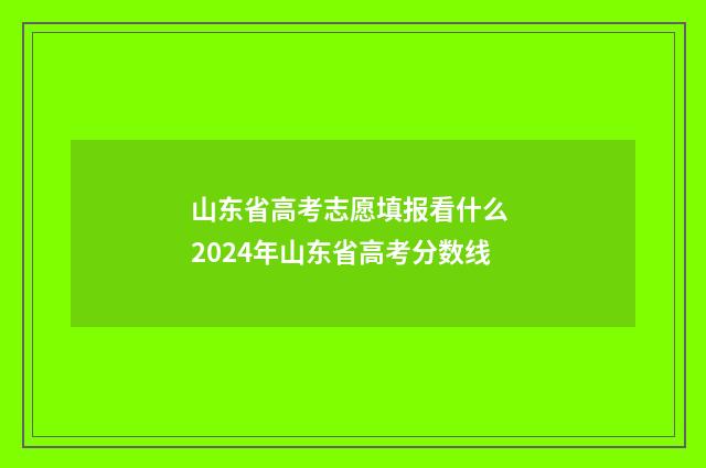 山东省高考志愿填报看什么 2024年山东省高考分数线