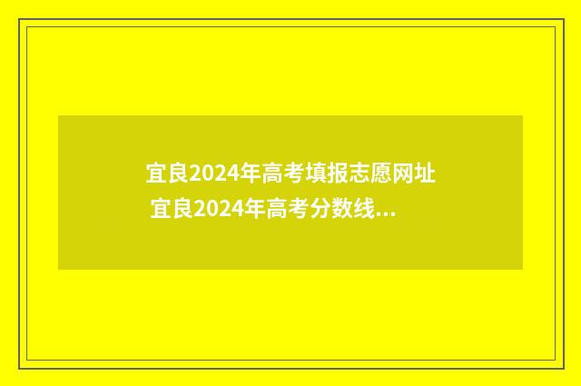 宜良2024年高考填报志愿网址 宜良2024年高考分数线是多少