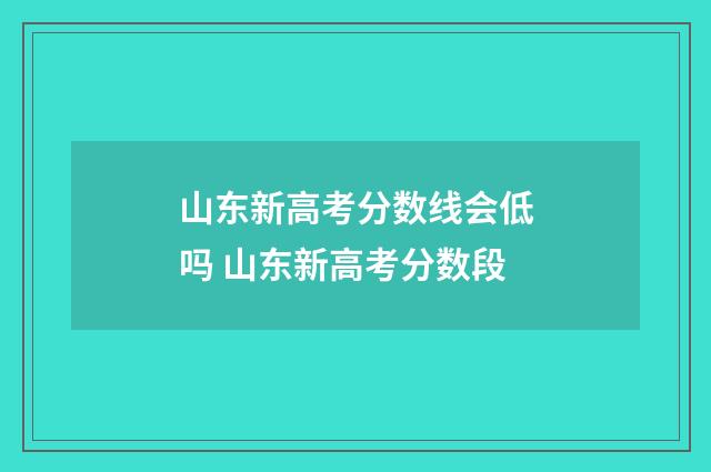 山东新高考分数线会低吗 山东新高考分数段