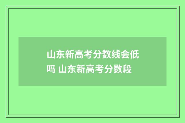 山东新高考分数线会低吗 山东新高考分数段