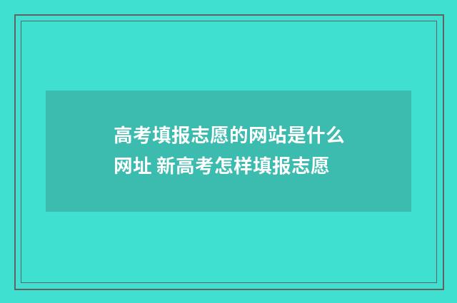 高考填报志愿的网站是什么网址 新高考怎样填报志愿