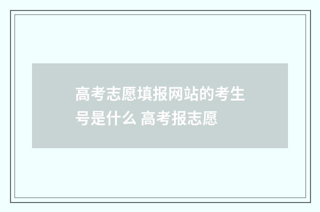 高考志愿填报网站的考生号是什么 高考报志愿