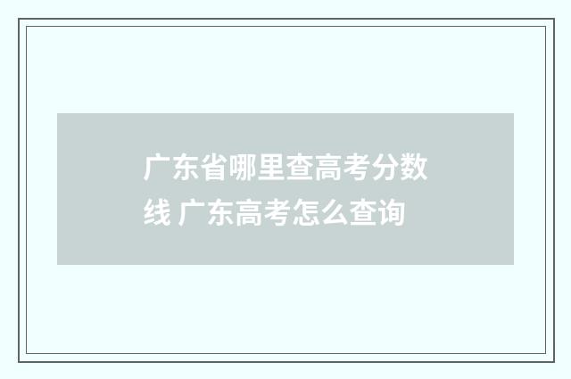 广东省哪里查高考分数线 广东高考怎么查询
