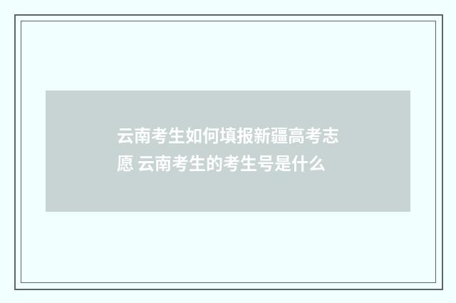 云南考生如何填报新疆高考志愿 云南考生的考生号是什么