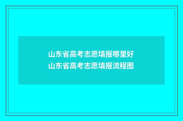 山东省高考志愿填报哪里好 山东省高考志愿填报流程图