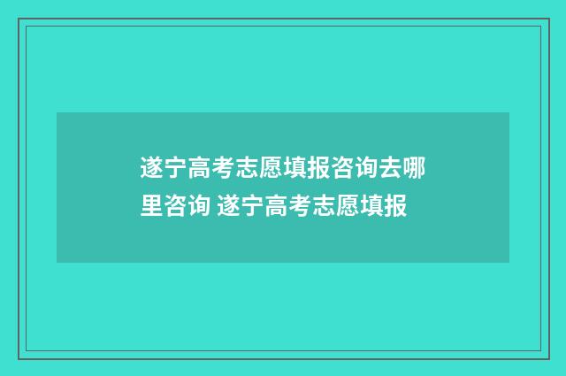 遂宁高考志愿填报咨询去哪里咨询 遂宁高考志愿填报