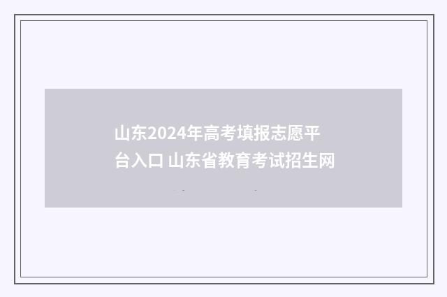 山东2024年高考填报志愿平台入口 山东省教育考试招生网