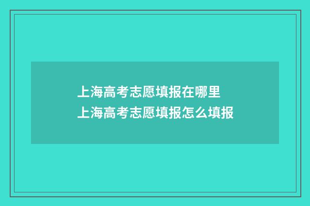 上海高考志愿填报在哪里 上海高考志愿填报怎么填报
