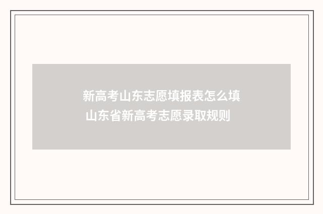 新高考山东志愿填报表怎么填 山东省新高考志愿录取规则