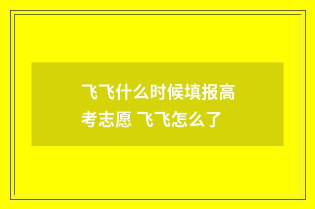 飞飞什么时候填报高考志愿 飞飞怎么了