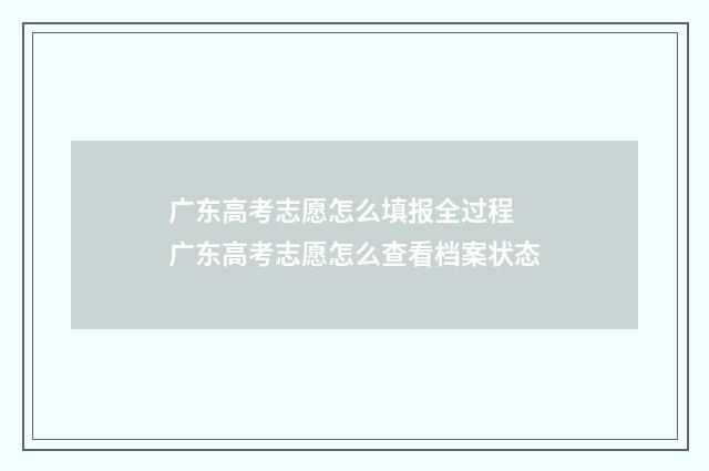 广东高考志愿怎么填报全过程 广东高考志愿怎么查看档案状态