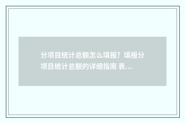分项目统计总额怎么填报？填报分项目统计总额的详细指南 表格分项目统计