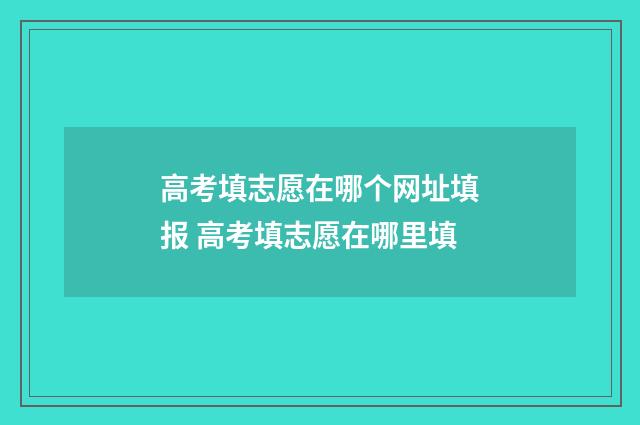 高考填志愿在哪个网址填报 高考填志愿在哪里填