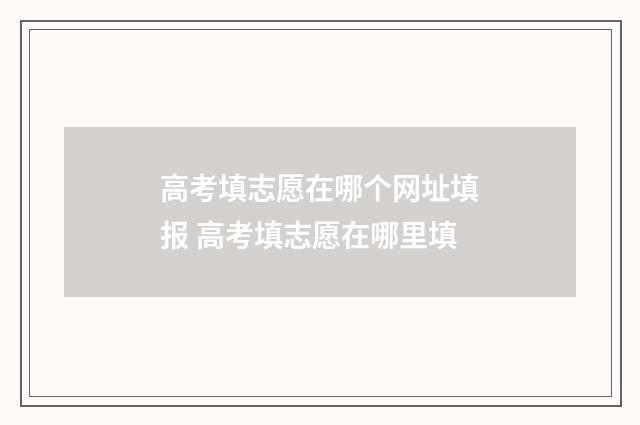 高考填志愿在哪个网址填报 高考填志愿在哪里填