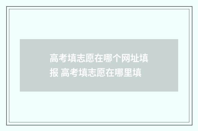 高考填志愿在哪个网址填报 高考填志愿在哪里填