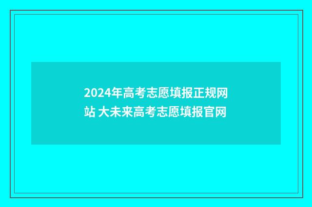 2024年高考志愿填报正规网站 大未来高考志愿填报官网