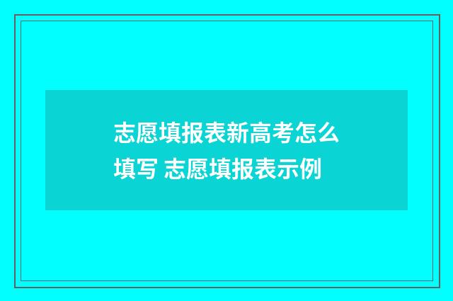 志愿填报表新高考怎么填写 志愿填报表示例