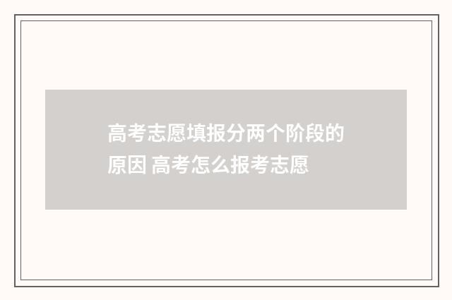 高考志愿填报分两个阶段的原因 高考怎么报考志愿