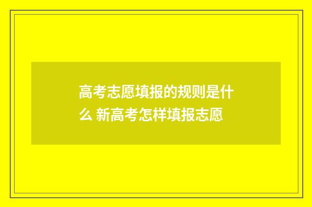 高考志愿填报的规则是什么 新高考怎样填报志愿