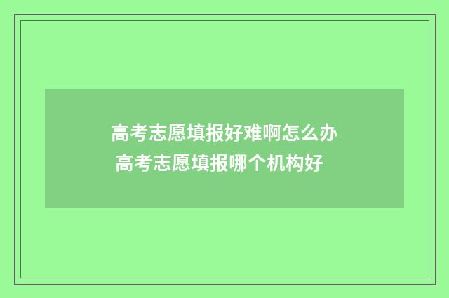 高考志愿填报好难啊怎么办 高考志愿填报哪个机构好
