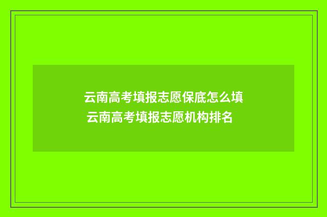 云南高考填报志愿保底怎么填 云南高考填报志愿机构排名