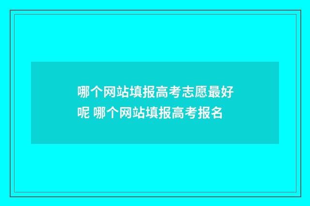 哪个网站填报高考志愿最好呢 哪个网站填报高考报名