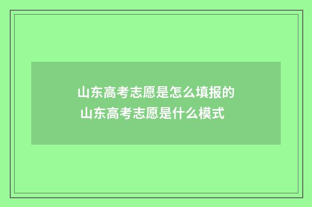 山东高考志愿是怎么填报的 山东高考志愿是什么模式