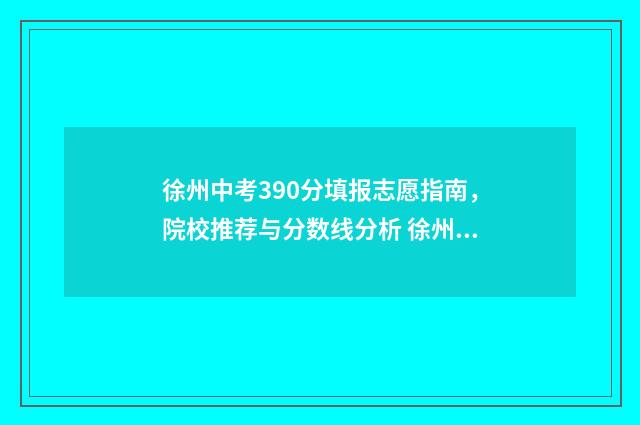 徐州中考390分填报志愿指南，院校推荐与分数线分析 徐州中考360分