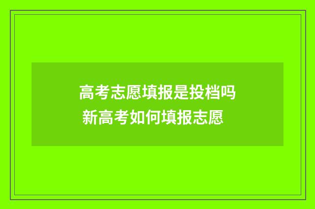 高考志愿填报是投档吗 新高考如何填报志愿